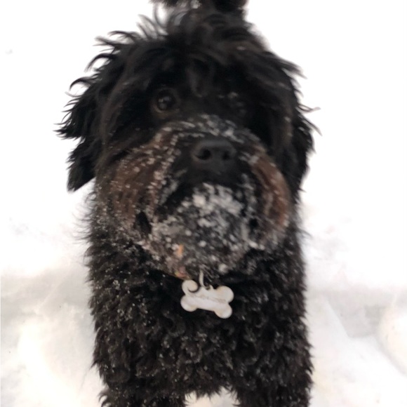 Meet your Posher, Jeanine - Picture 9 of 10